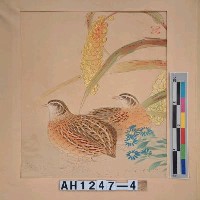 藏品(昭和11年『翠光花鳥版畫集』－粟鶉圖)的圖片